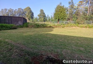 imagem_7