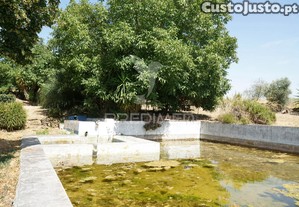 imagem_38