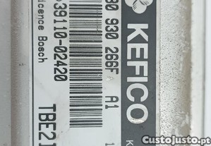 imagem_3