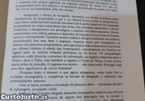 imagem_4
