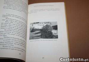 imagem_9