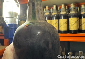 imagem_5