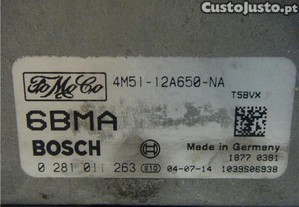 imagem_3