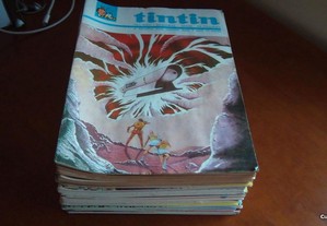 Revista TINTIN 12 ano Completo 52 revistas