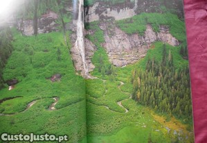 imagem_6