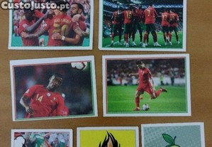 imagem_2