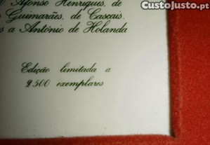 imagem_8