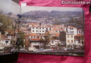 imagem_5