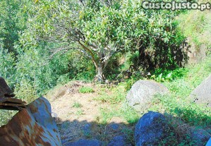 imagem_21