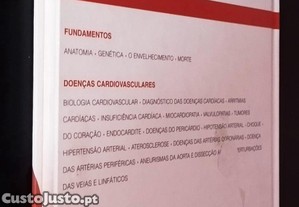 imagem_12