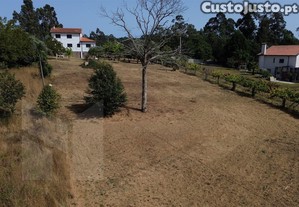 imagem_8