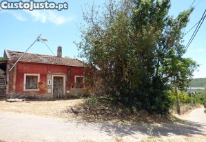imagem_11
