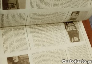 imagem_12