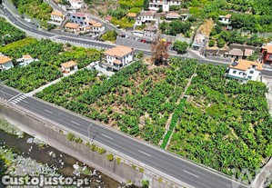 imagem_7