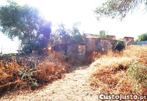 imagem_7