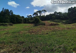 Terreno Pinheira - Rua da Bragada - Santo Antnio
