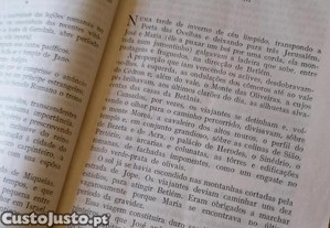 imagem_8