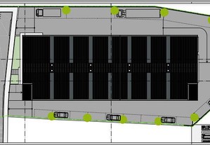 imagem_8