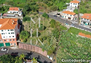 imagem_14