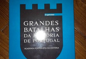 imagem_4