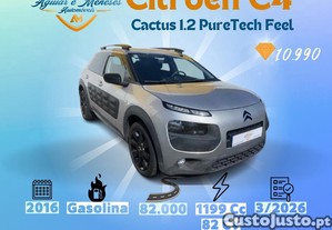 Citron C4 Cactus - 16