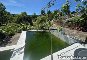 imagem_11