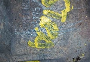 imagem_7