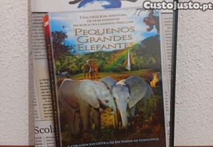 DVD Pequenos grandes elefantes