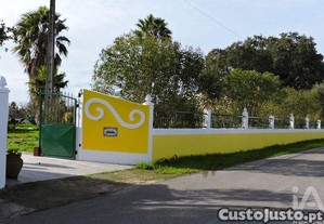 imagem_29