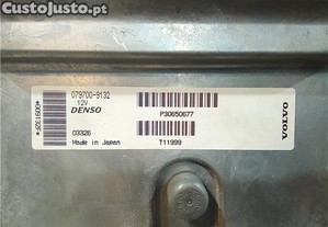 imagem_5