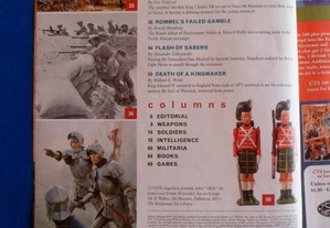 imagem_2