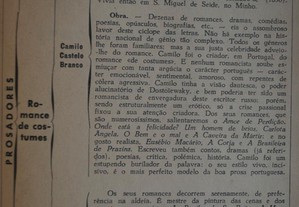 imagem_8