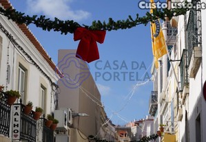 imagem_19