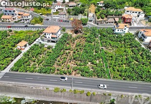 imagem_5