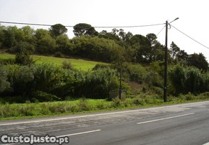 imagem_6