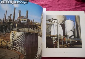 imagem_7