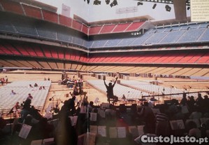 imagem_7