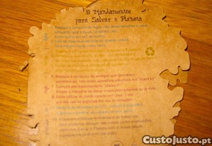 imagem_8