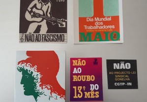 imagem_8