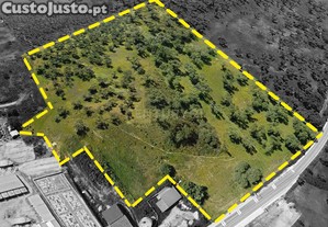 Terreno Urbano c/5 Hectares