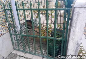 imagem_2