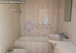 imagem_13