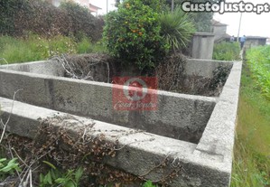 imagem_8