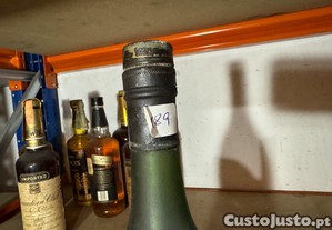 imagem_4