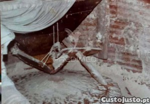imagem_23