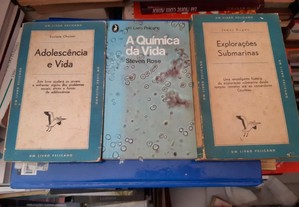imagem_5