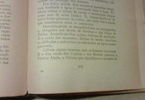 imagem_8