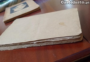 imagem_13