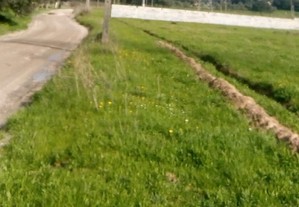 imagem_3