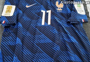 imagem_1